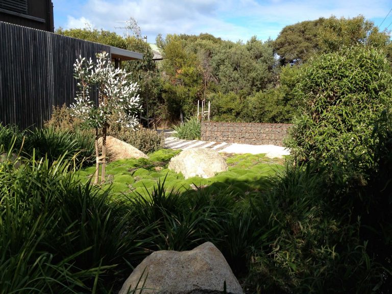 Anglesea 768x576