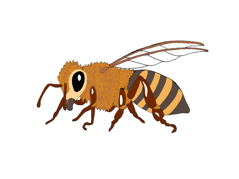 Untitled28 20230120162035 768x576