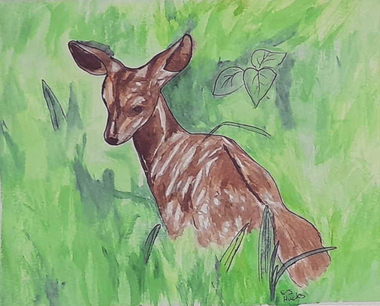 Untitled62 20240130081005 768x619