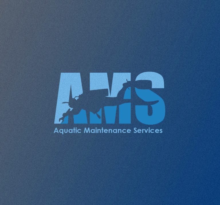 ams mock up 2 2 768x717
