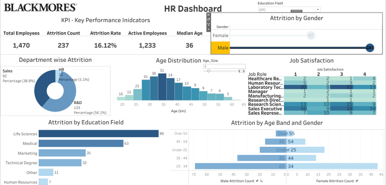 Blackmores Dashboard 768x368